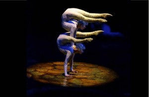 How Cirque Du Soleil's Strategy Reinvented The Circus