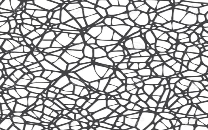 How Complicated is Your Company?
