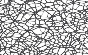 How Complicated is Your Company?