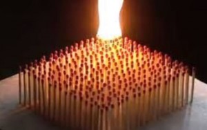 When a Collective Reputation Turns Into a Liability