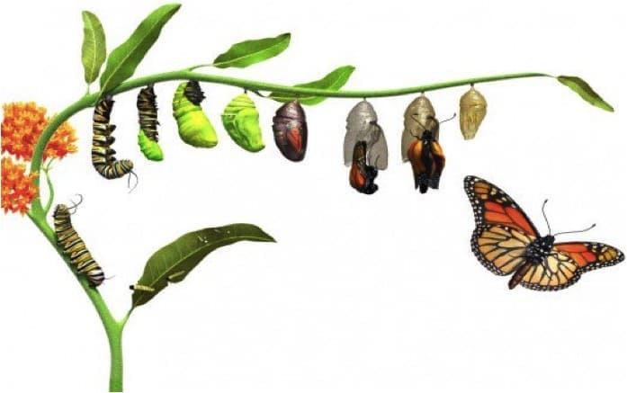 Your Change Needs a Strategy