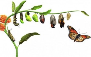 Your Change Needs a Strategy
