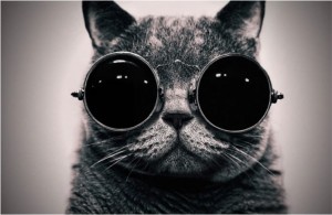 Top 4 Blind Spots of Strategy Execution